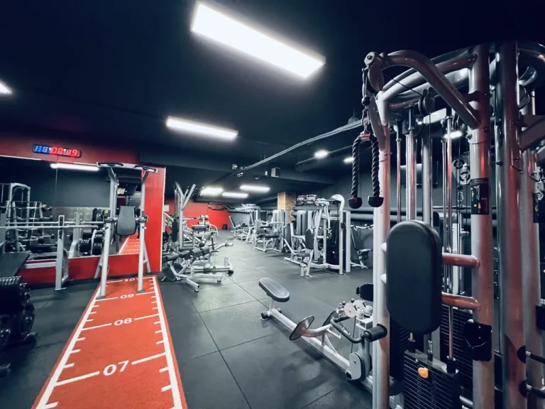 machines de musculation 1024x768 1 768x576